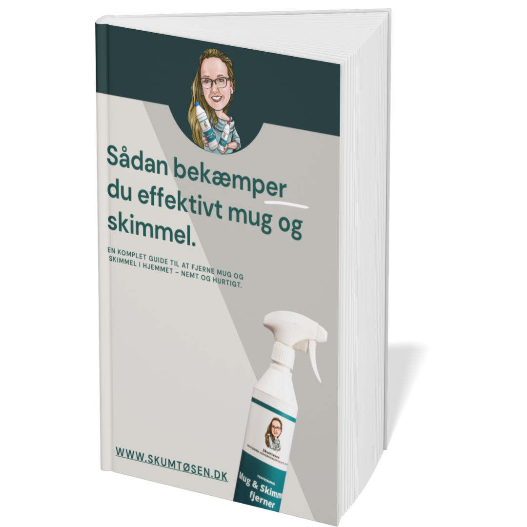 E bog -sådan fjerner du dine mugne problemer .