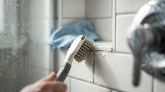 skuresvamp eller ståluld